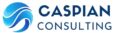 Caspian Consulting